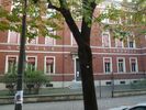Scuole elementari Giosue Carducci