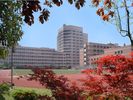 Luwan High school