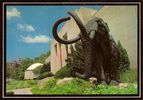Cincinnati Museum of Natural History
