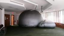 Stardogs Astronomy