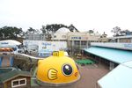 Echizen Matsushima Aquarium