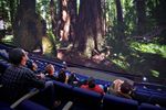 California Academy of Sciences