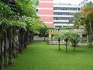 Shenzhen Yuxin School