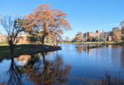University of Connecticut (UConn)