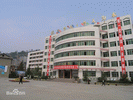 Ziyang Middle School
