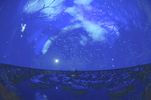 Rio Tinto Alcan Planetarium