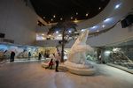 Museum of Darwin