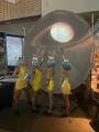 SkyDome portable planetarium