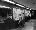 South Florida Science Museum