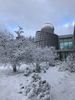 Dickinson College