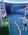 Boonshoft Museum of Discovery