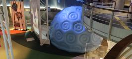 Europe's Spaceport