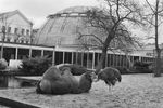 ARTIS-Planetarium