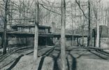 Children's Nature Center
