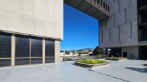 San Francisco State University (SFSU)