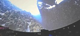 Immersed
