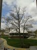 Western Kentucky University (WKU)