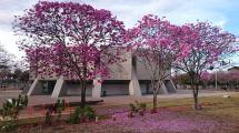 Planetario de Brasilia Luiz Cruls
