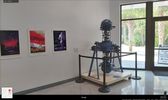 Museum of Arts and Sciences (MOAS)