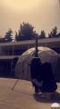 The Cosmic Dome