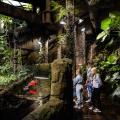Universeum