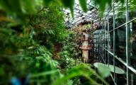 Universeum