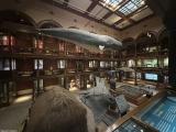 Bernice Pauahi Bishop Museum