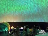 Immersive Theatres