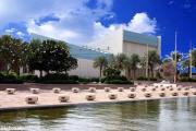 King Abdulaziz University