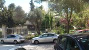 Hebrew University of Jerusalem