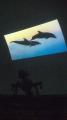 Chiba Prefectural Kimitsu Kameyama Youth Nature Home