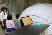 Tokyo Seitoku University Junior High School