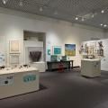 Museum of Arts and Sciences (MAS)