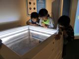 Fukushima Prefectural Centre for Environmental Creation