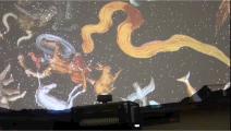 Planetario da Escola Naval