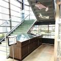 Tsushima city child science Museum