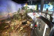 New Henan Science and Technology Museum
